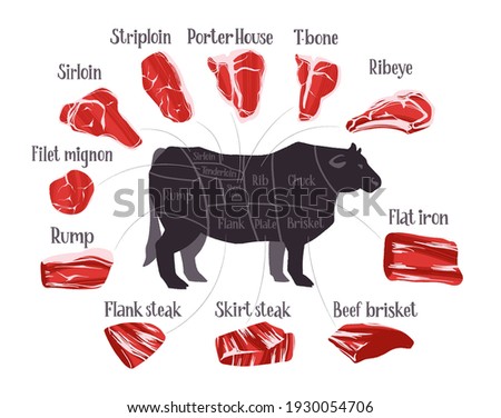 Steak cuts set. Beef cuts chart and pieces of beef, used for cooking steak and roast. Vector hand drawn flat illustration with lettering for butcher shop or steak house restaurant menu.