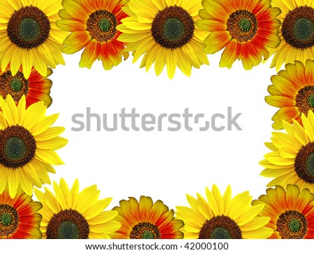 Sunflower border frame - more available