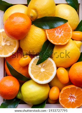 Similar – Foto Bild Frische Zitrusfrüchte: Zitrone, Limette und Orange mit kräftigem orangefarbenem Hintergrund