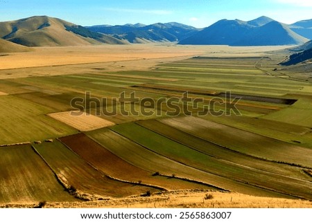 Similar – Foto Bild Ackerland umgeben von grünen Bäumen