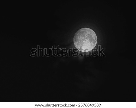 Similar – Foto Bild Vollmond hinter Baumzweigen bei Nacht