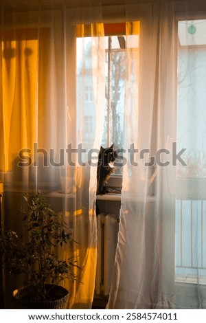 Similar – Image, Stock Photo Sunset behind the curtain in the caravan