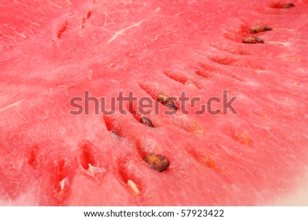 Ripe watermelon on white background (isolated, clipping path)