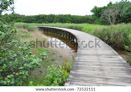 Wooden bridge path in the wetland park