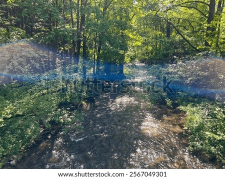 Similar – Image, Stock Photo Ruhr Nature River Forest