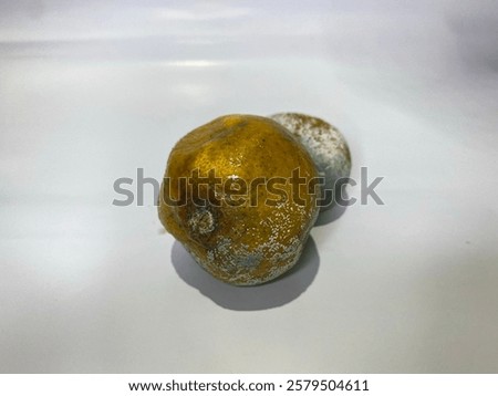 Similar – Image, Stock Photo What was left of the tobogganing: Sledge in the bush