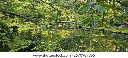 Similar – Image, Stock Photo The autumnal lily stone in the Elbe Sandstone Mountains