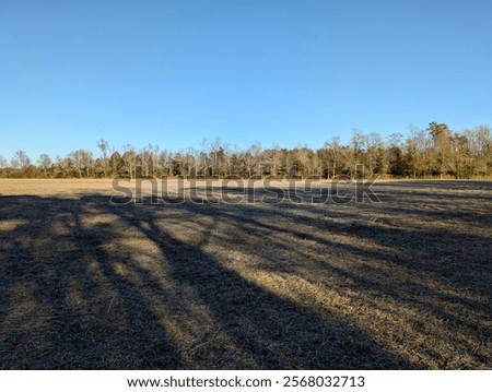 Similar – Foto Bild Schattenwurf auf offener Straße