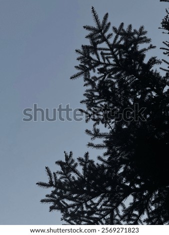 Similar – Image, Stock Photo and above me the sky…