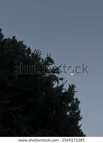 Similar – Image, Stock Photo and above me the sky…