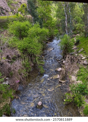 Image, Stock Photo Road running through dense forest