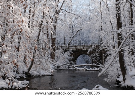 Similar – Foto Bild Verschneite Brücke über den Fluss in der Altstadt