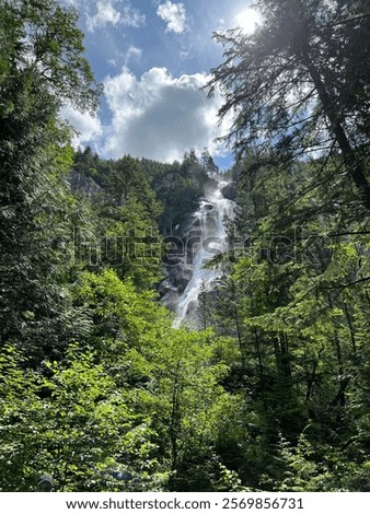 Similar – Image, Stock Photo Majestic waterfall in dark forest