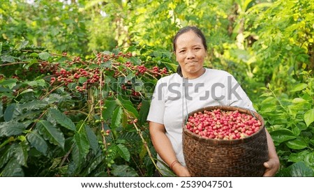 Similar – Foto Bild Lächelnde Frau mit Kaffee im Zimmer