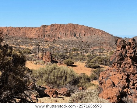 Similar – Image, Stock Photo arid Environment Nature