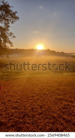 Similar – Foto Bild Nebel über wunderschönes hügeliges Gelände