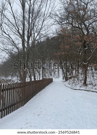 Similar – Image, Stock Photo frozen wooden brown fence outdoors