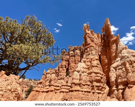 Similar – Image, Stock Photo Hoodoo formation at Bryce Canyon National Park, Utah