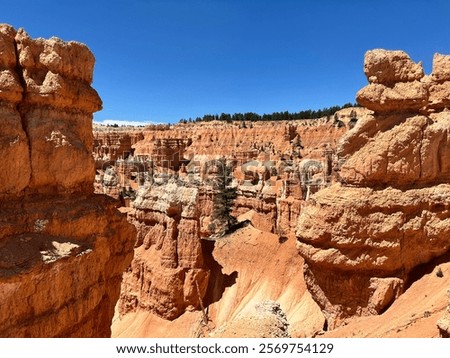 Similar – Image, Stock Photo Hoodoo formation at Bryce Canyon National Park, Utah