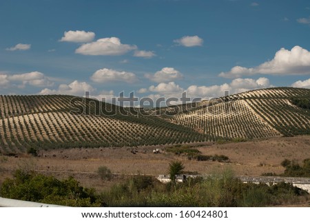 A view across the beautiful landscape of Andalucia in the southern part of Spain