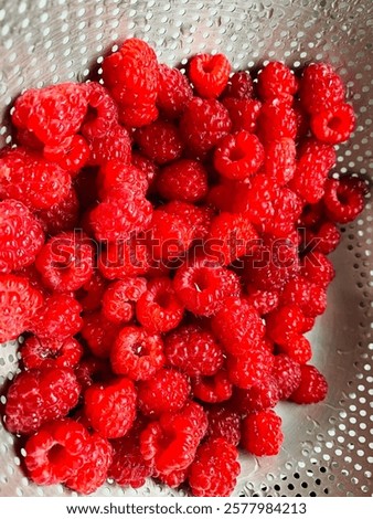 Similar – Foto Bild Eine Schüssel voller selbst gepflückter Erdbeeren zwischen Erdbeersträuchern im Erdbeerfeld