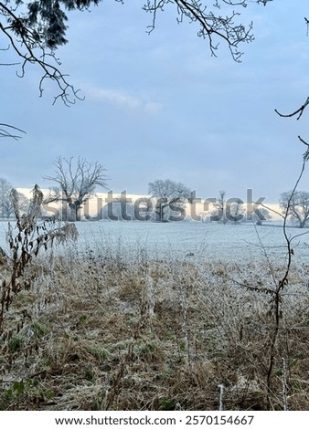 Similar – Image, Stock Photo Snowy farmland against frosted forest at horizon under blue sky with white fluffy clouds