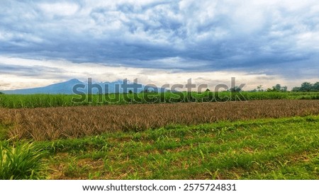 Similar – Foto Bild Ländliches Feld unter bewölktem Himmel mit Sonnenstrahlen