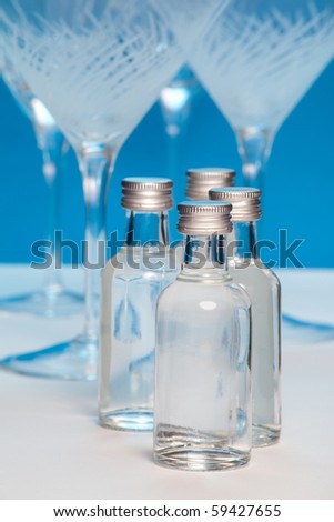 Vodka bottles and martini glasses