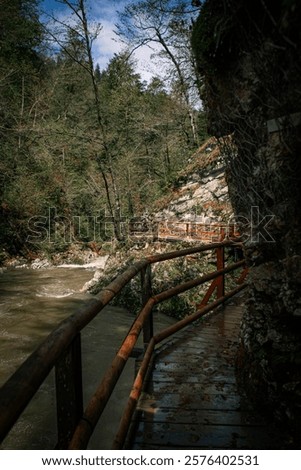 Similar – Image, Stock Photo Vintgar Gorge wooden path and beautiful Radovna river