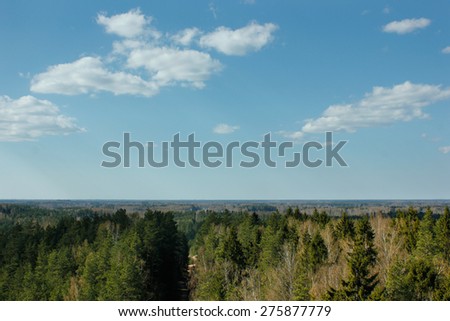 Scenic forest view from Blue Hills observation tower in city of Ogre, Latvia (Europe).