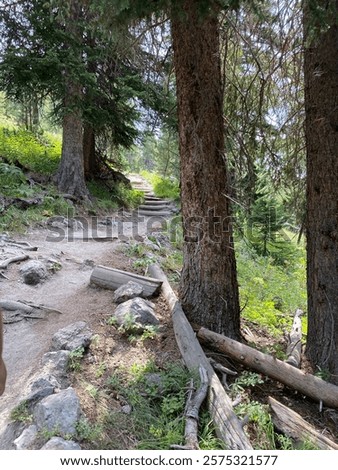 Similar – Foto Bild Grüner Wald in felsigen Bergen hoch in Wolken