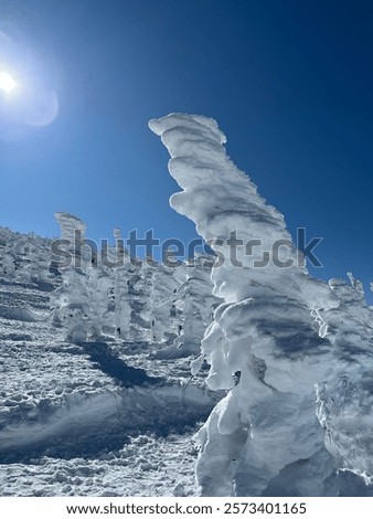 Similar – Image, Stock Photo Frost covering the famous vineyards of Bernkastel-kues in Germany