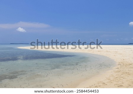 Similar – Image, Stock Photo Paradise | Unwind under a green canopy of leaves