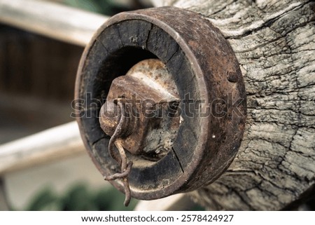 Similar – Image, Stock Photo Close-up of industrious forest ants on a piece of wood in the wild