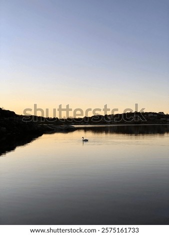 Similar – Foto Bild Schwäne bei Sonnenuntergang