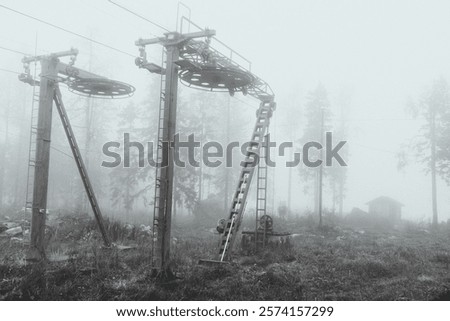 Similar – Image, Stock Photo Overgrown trees in misty woods under gray sky