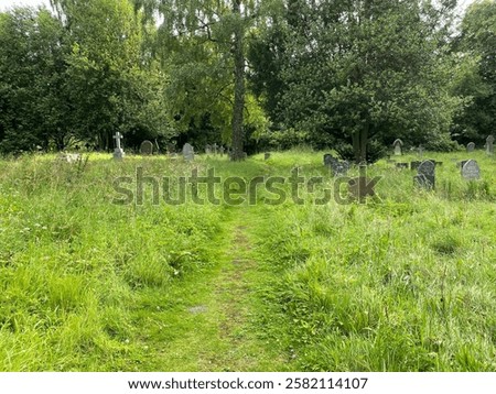 Image, Stock Photo Path through overgrown stone gate