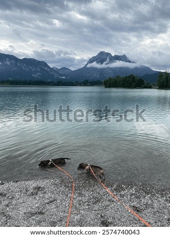 Similar – Image, Stock Photo Mountain lake 2 Lake Water