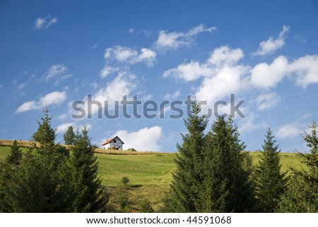 mountain pine forest and single house