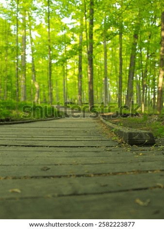 Similar – Image, Stock Photo Vibrant summertime landscapes in wisconsin