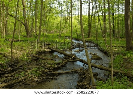 Similar – Image, Stock Photo Vibrant summertime landscapes in wisconsin