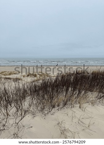 Similar – Image, Stock Photo calm water in Latvian winter / river near my house / the day when ice forming on water / sunrise over land