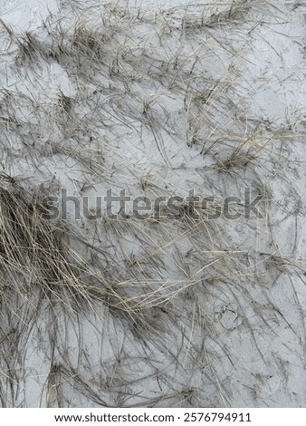 Similar – Image, Stock Photo calm water in Latvian winter / river near my house / the day when ice forming on water / sunrise over land