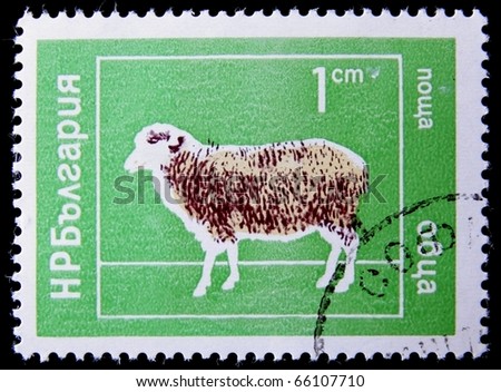 BULGARIA - CIRCA 1974: A post stamp printed in Bulgaria shows domestic animal, series. circa 1974