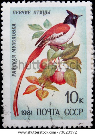 USSR - CIRCA 1981: A post stamp printed in USSR shows singing bird, series, circa 1981