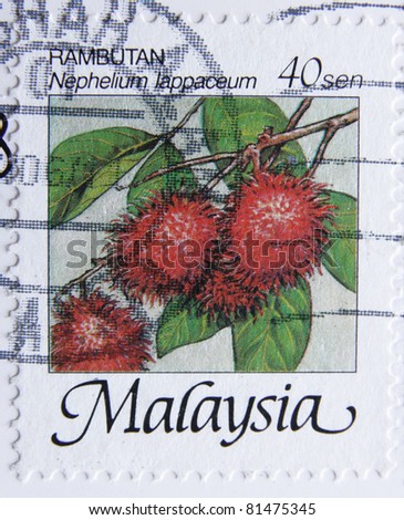 MALAYSIA-CIRCA 1986: A post stamp printed in Malaysia shows fruits rambutan, series nature, circa 1986