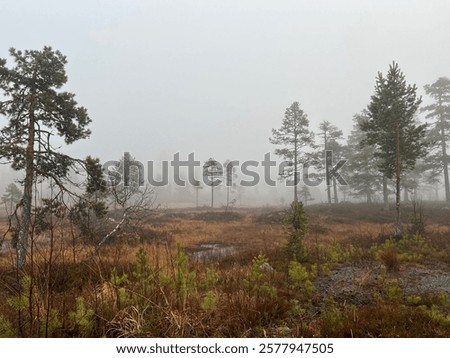 Similar – Foto Bild Herbstnebel liegt über dem Bodensee