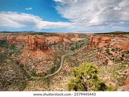 Similar – Image, Stock Photo Monument Valley Juniper
