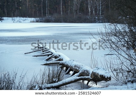 Similar – Image, Stock Photo Fallen tree in pond, forest, winter