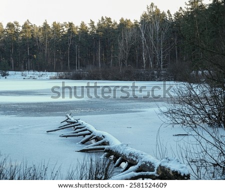 Similar – Image, Stock Photo Fallen tree in pond, forest, winter